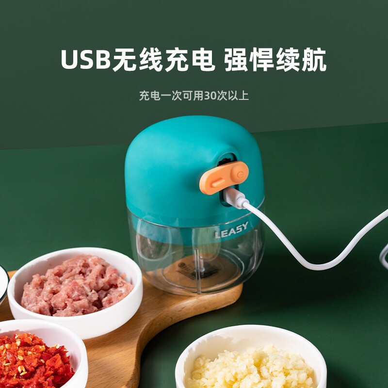德国领致小型电动捣蒜器绞肉蒜蓉机打蒜神器