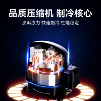 穗凌(SUINING) 208升 家用商用 单温卧式 冷藏冷冻 可转换 小冰柜 顶开门小冰箱 BD-228K
