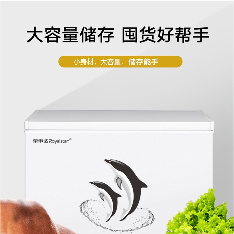 荣事达(royalstar)248388l全雪糕机