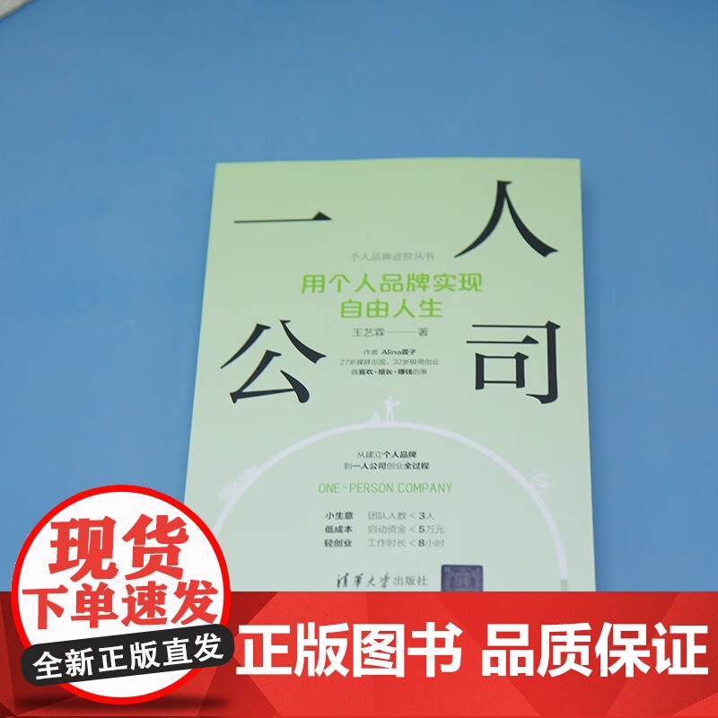 一人公司 用个人品牌实现自由人生 王艺霖 著 管理高清大图