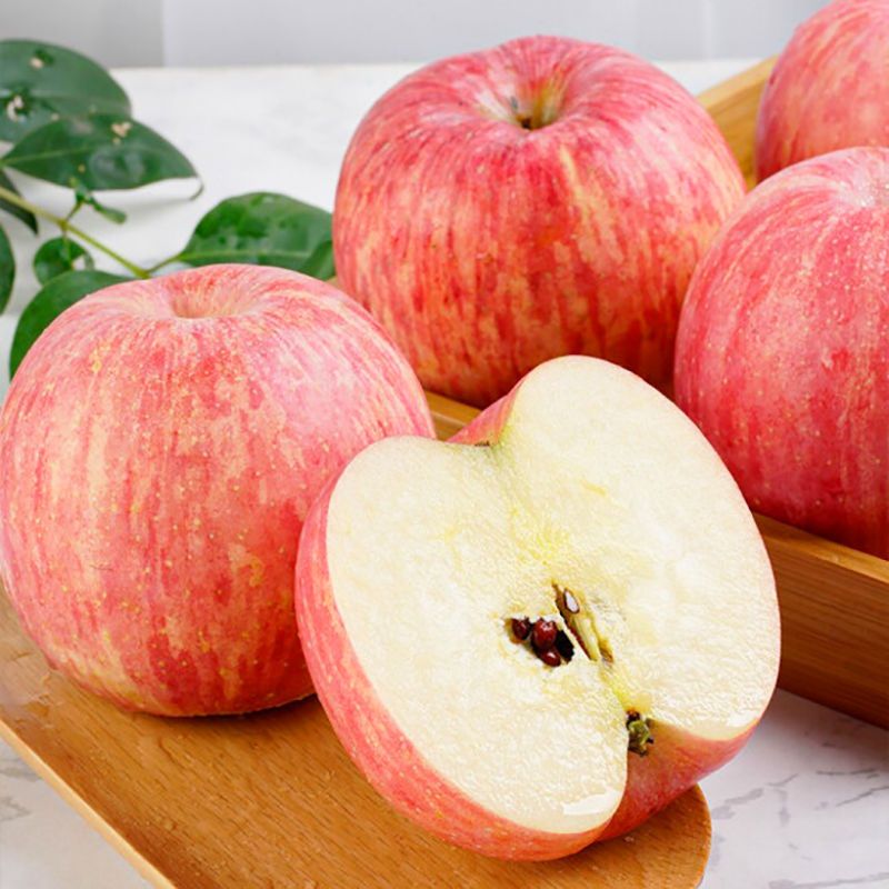 精品礼盒12枚装洛川红富士水果新鲜苹果水果正宗陕西洛川红富士不打蜡