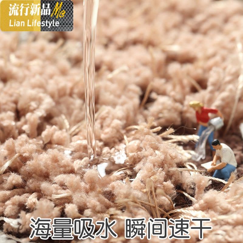 地垫垫进吸水垫子厨房卧室家用脚垫卫浴卫生间口浴室防滑垫 三维工匠地毯图片