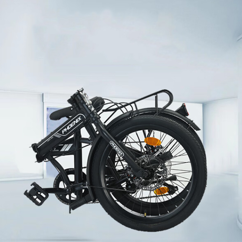 凤凰(PHOENIX) 20寸 单7速折叠自行车120周年纪念款-赛丽高清大图