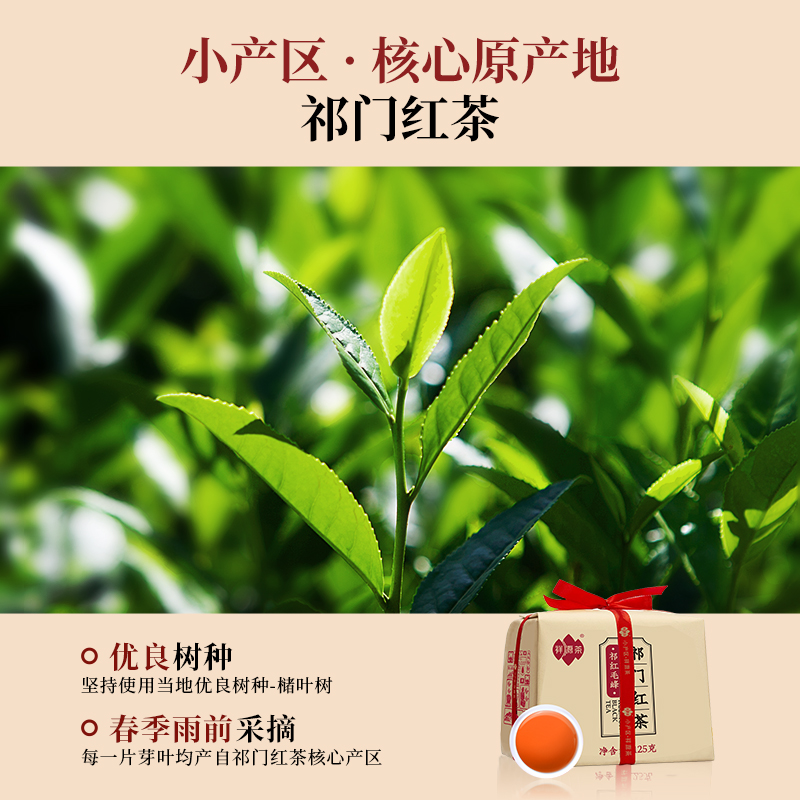 祥源茶祁门红茶 一级祁红毛峰125g纸包装 口粮茶清香型自饮待客 送礼茶叶高清大图