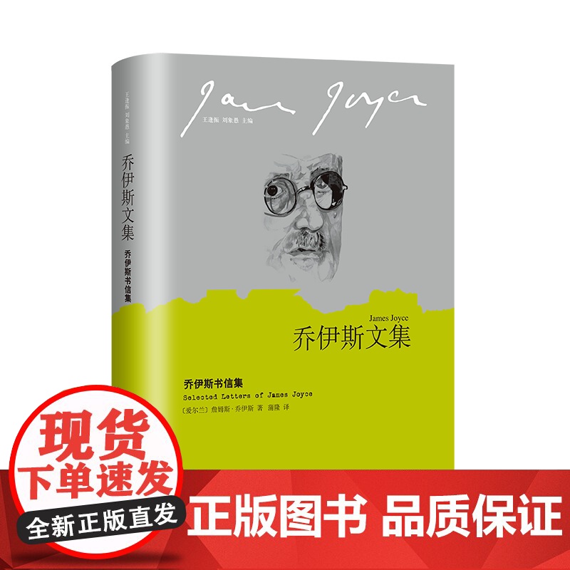 乔伊斯书信集(乔伊斯文集)[爱尔兰]詹姆斯·乔伊斯著 蒲隆译 展示乔伊斯生平和作品的一手文字资料 上海译文出版社 正版高清大图