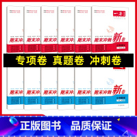 语文 二年级下 [正版]小学语文数学期末冲刺100分上下册RJ版12345年级专项模拟真题冲刺卷人教 期中期末冲刺100