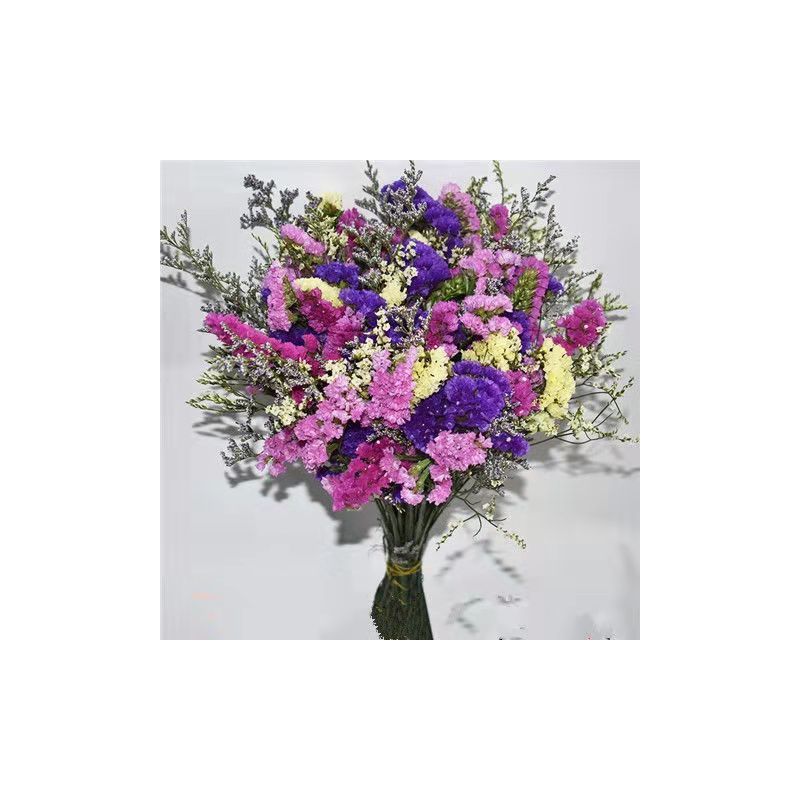 京弗花瓶/花艺报价_参数_图片_视频_怎么样_问答-苏宁易购