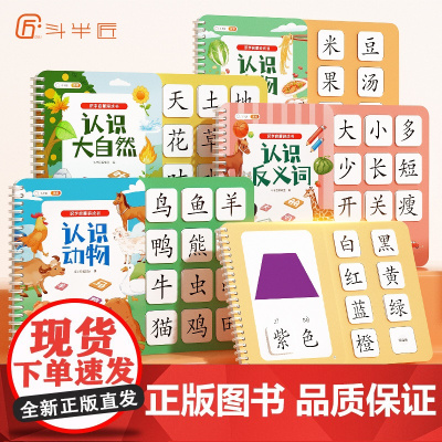 斗半匠识字启蒙游戏书宝宝撕拉书幼儿识字早教魔术贴识字卡片幼儿认字神器全套手撕拉粘贴婴儿撕撕书益智玩具拼音拼读训练一日一练