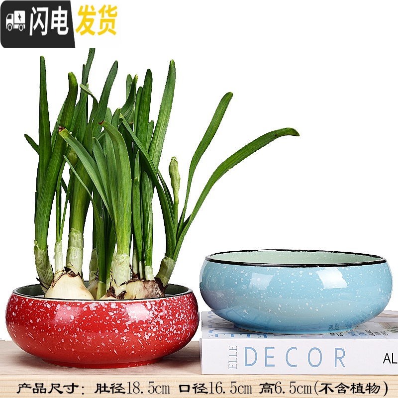 三维工匠水仙花盆铜钱睡莲碗莲荷花多肉水培花盆容器无孔陶瓷特大号 玲珑花盆2件套(无孔水培) 中等高清大图
