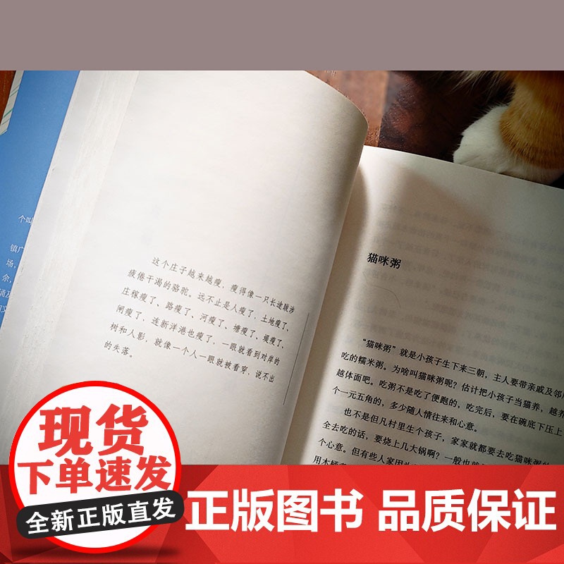 把村庄带回家高清大图