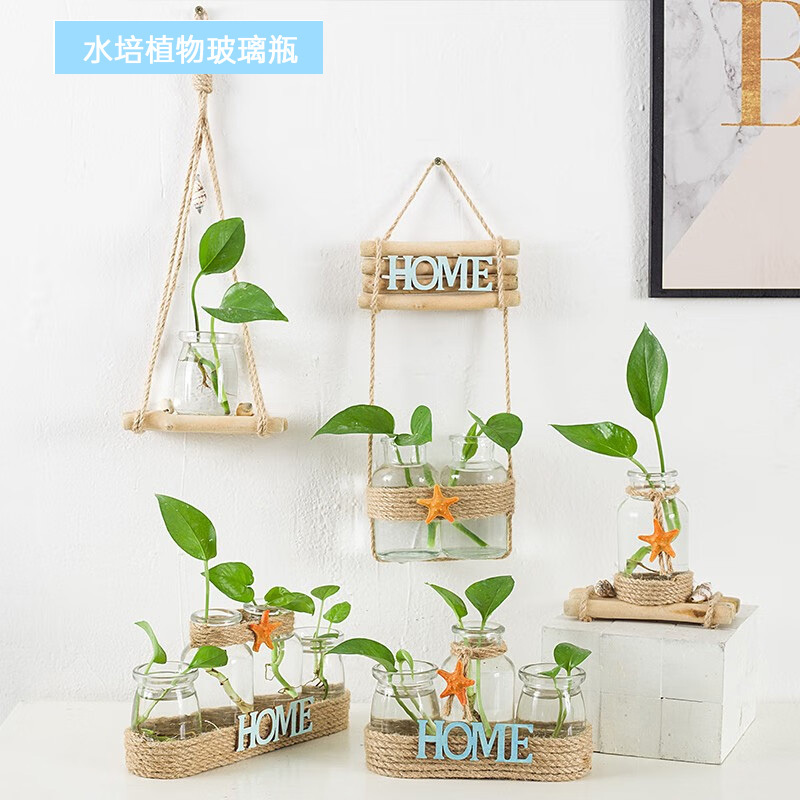 绿植墙海螺三杯