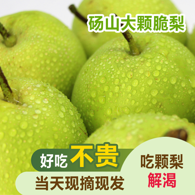 砀山皇冠香梨梨子新鲜当季果园直采砀山脆梨水果礼盒装送礼公司福利高清大图