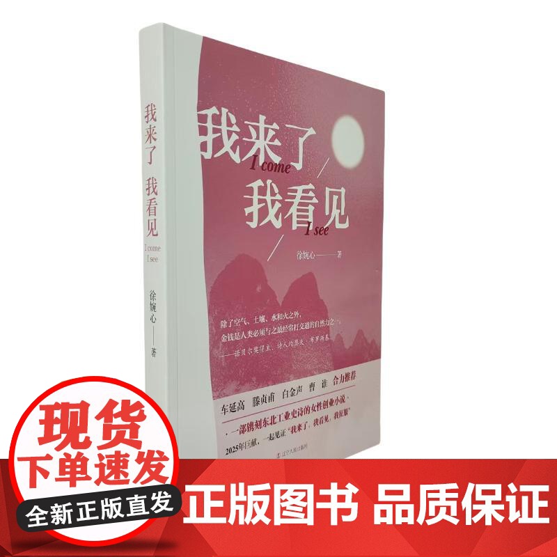 我来了我看见 徐婉心 著 中国现当代文学 文学 辽宁人民出版社高清大图