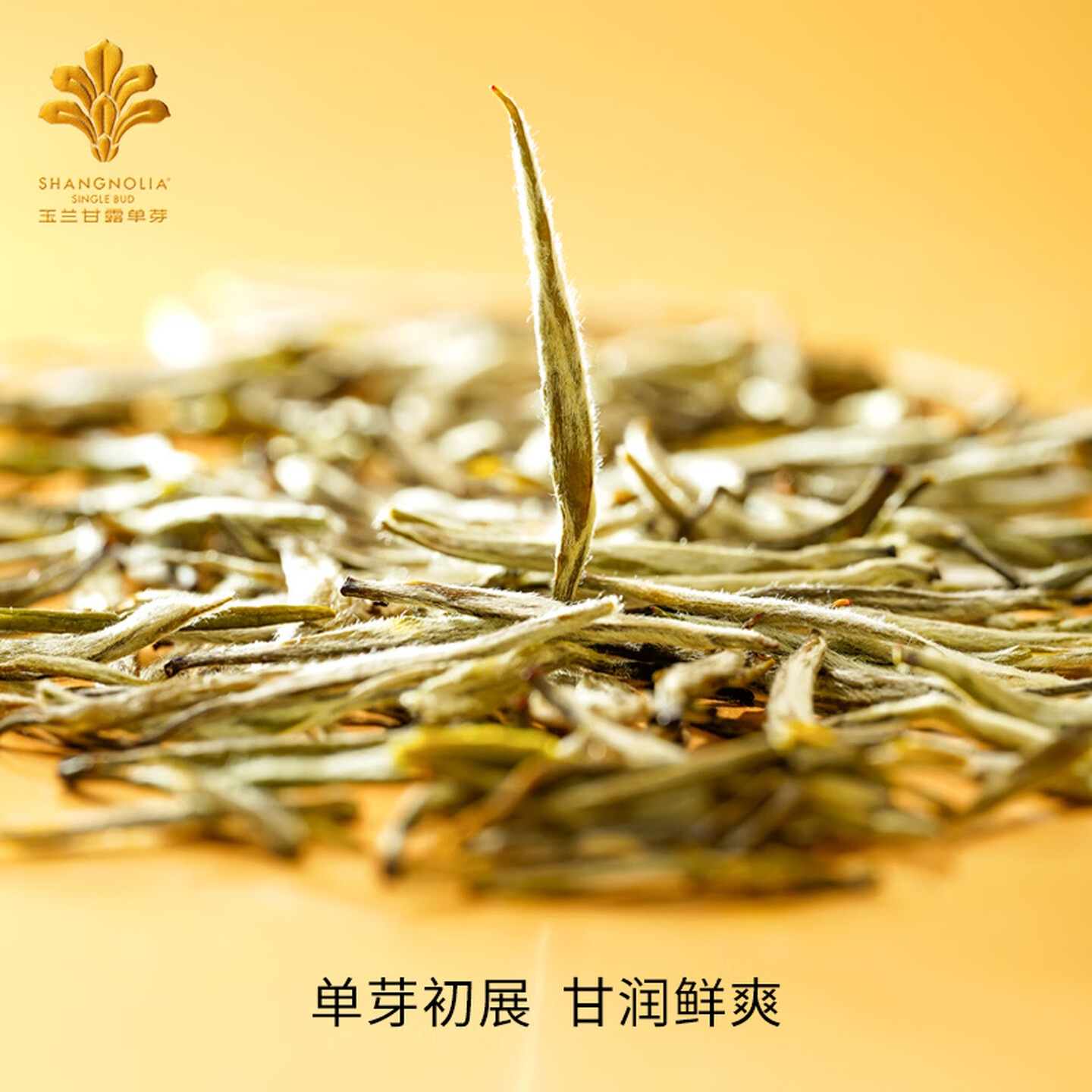 T9玉兰甘露单芽礼盒甘润鲜爽白玉兰礼物烘青茉莉花茶叶108g*罐 玉兰甘露单芽108g/罐高清大图