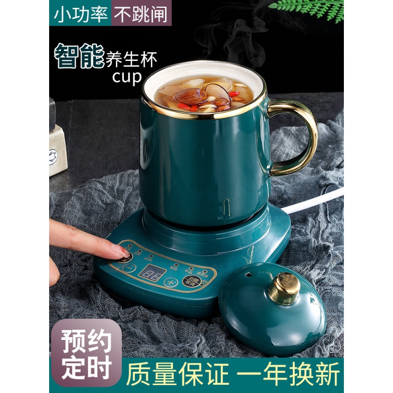 多功能养生杯电炖杯办公室煮茶杯全自动迷你煲粥杯黄金蛋便携电热小炖杯 绿色