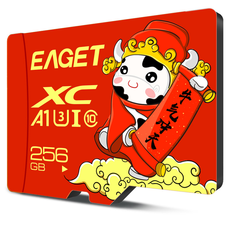 忆捷(Eaget) 手机存储卡监控摄像内存卡TF卡高速行车记录仪SD卡c10高速卡 256GB高清大图