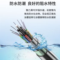 博扬 BY-GYTA53-48B1.3-3KM 重铠地埋48芯单模室外光缆 GYTA53层绞式直埋光纤线 3000米轴