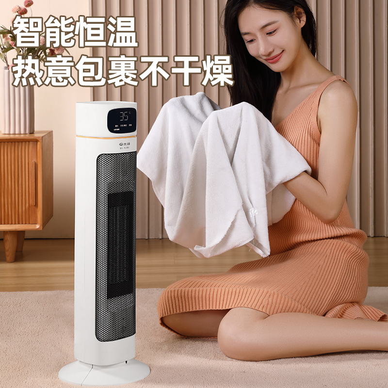 先锋取暖器/电暖器/电暖气/取暖电器/暖风机办公室电暖风烤火炉暖脚器电热扇热风机 DNF-YY2R高清大图