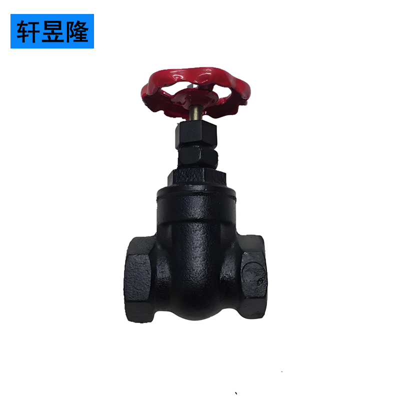 轩昱隆铸铁截止阀DN20/个高清大图