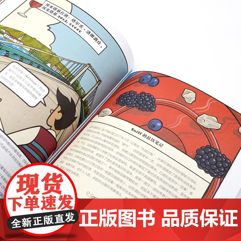 [央视网]33杯尽品法国葡萄酒精髓 大师教你掌握产区风土 酿酒风格与品鉴 葡萄酒知识 品饮笔记 葡萄酒品鉴赏宝典 YS高清大图