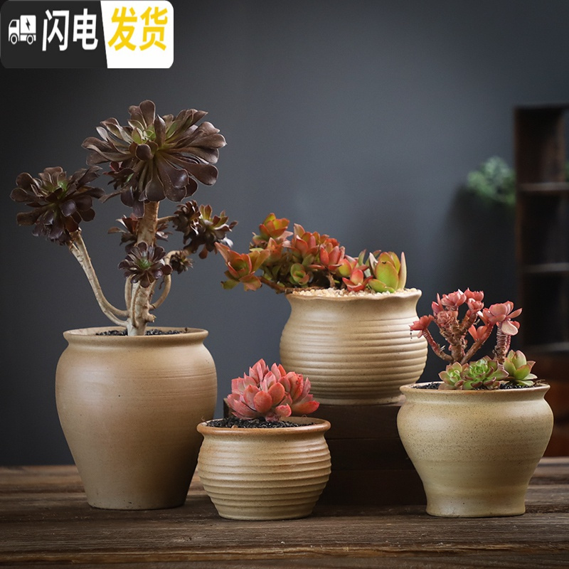 三维工匠多肉花盆大号老桩创意个性大口径粗陶透气陶瓷肉肉植物盆 SU本粗陶001组合5个 中等花盆容器