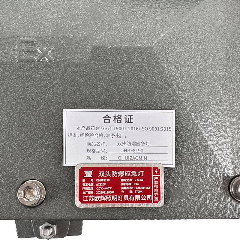 OHUIZAOMIN 双头防爆应急灯 OHBF8190 个