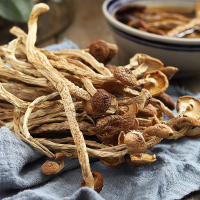 龙泉山 茶树菇260g/袋 菌菇之乡广昌直采 煲汤干货 无硫 茶树菇 260g
