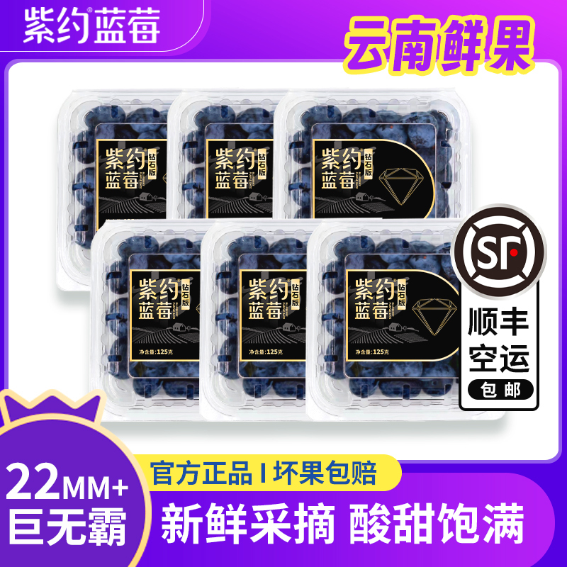 顺丰快递[苏鲜生推荐]紫约蓝莓 云南高山蓝莓 个头饱满 8盒 125g/盒 单枚22mm+ 口感甜蜜 宝宝辅食
