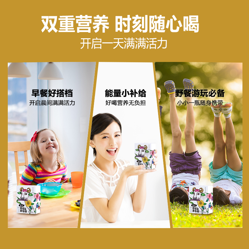 左江 双蛋白水牛奶 200ml×8盒/提高清大图