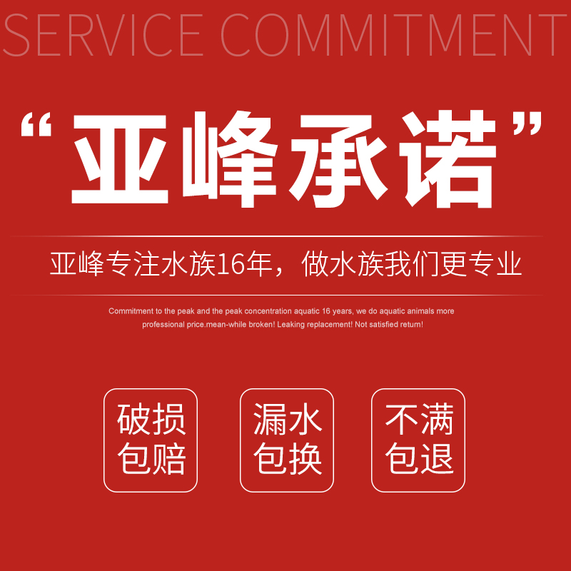 隔离盒孵化盒观赏鱼孔雀鱼斗鱼缸外饲养多功能繁殖亚克力悬浮高清大图