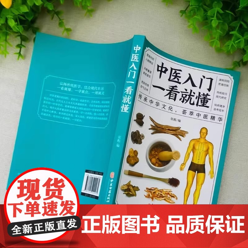 正版 中医入门一看就懂 中草药药方名方偏方经络穴位药膳自诊中医自查养生家庭保健健康医诊断学中医自学中医基础理论零基础学中高清大图