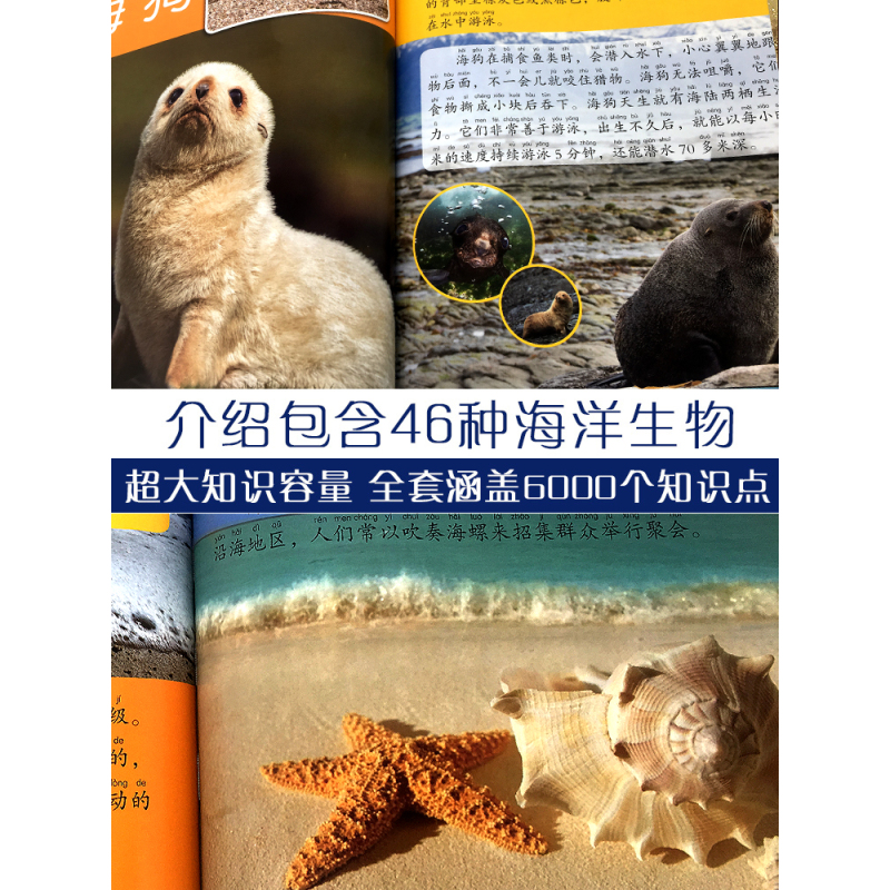 地球大百科 [正版]海洋动物大百科彩图注音版海底世界鱼类哺乳类海鸟甲壳类软体动物3-6-9-10岁学生少儿童科普科学启蒙