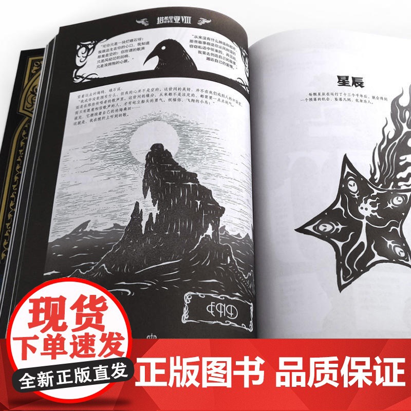 塔希里亚故事集Ⅷ 吴淼 接力出版社 正版书籍高清大图