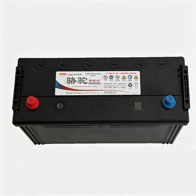 骆驼 蓄电池12V120Ah N120 只高清大图