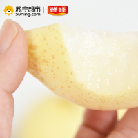 冀峰 甜鸭梨 6-8个 净重约1.8kg