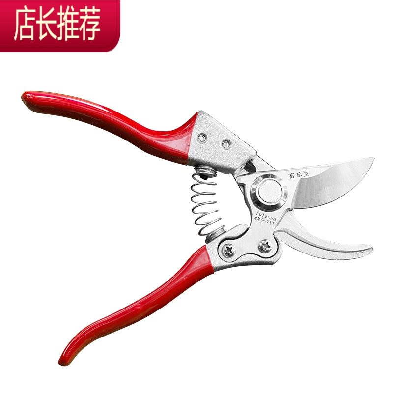 修枝剪 家用树枝剪强力绿化园林省力锋利果树桑剪园丁剪园艺剪刀JING PING