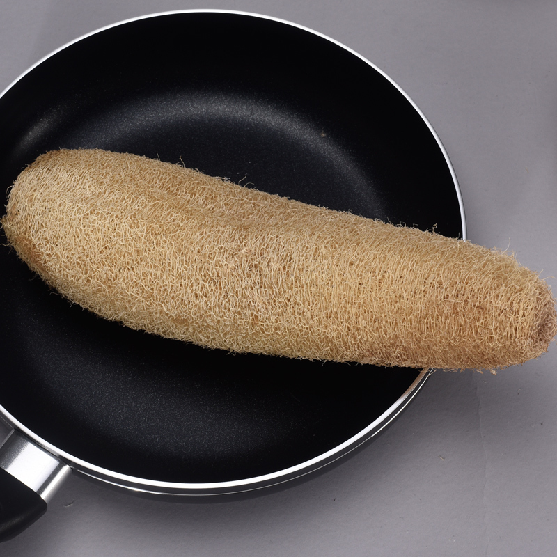 洗碗刷子丝瓜络洗碗布丝瓜刷干丝瓜瓢刷锅刷碗丝瓜囊丝瓜整个2根