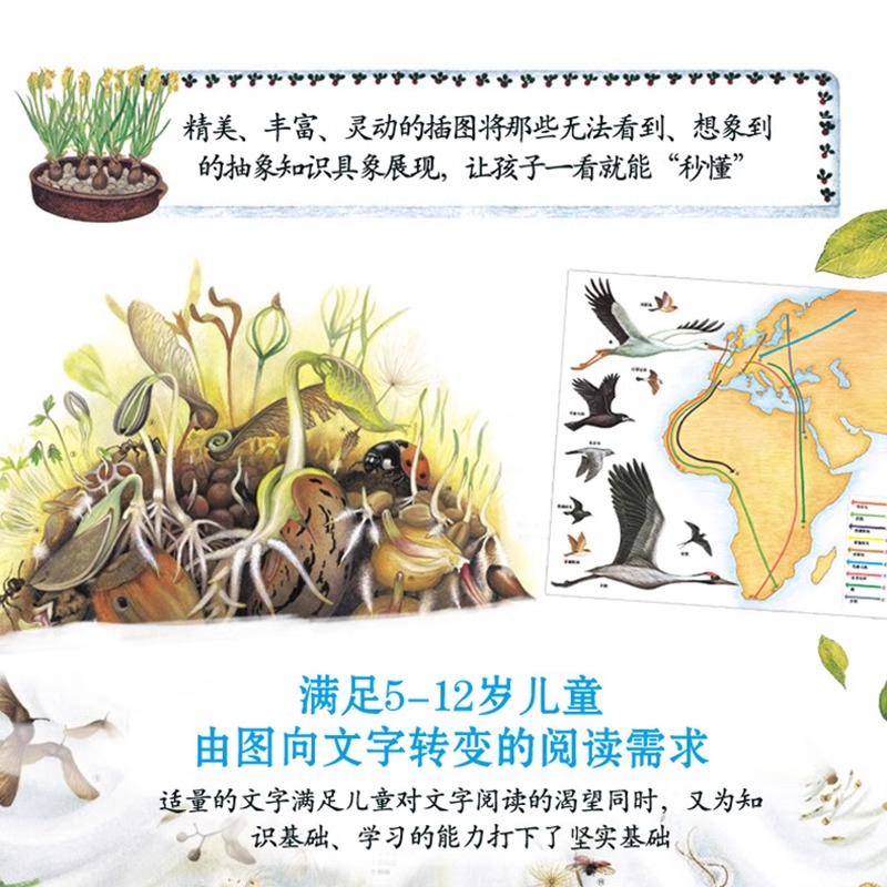 [6册]四季时钟 第二辑 [正版]四季时钟系列第二辑全套6册乌纳雅各布绘本花园大地草地树木蝴蝶森林时钟药草小学生三四年级高清大图