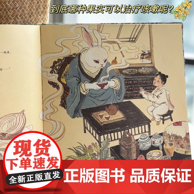 安安的草药国之旅硬壳3-8岁宝宝漫画儿童故事书幼儿园绘本早教启蒙中医中药知识传统文化食疗 果实治咳嗽果部药用知识书籍高清大图
