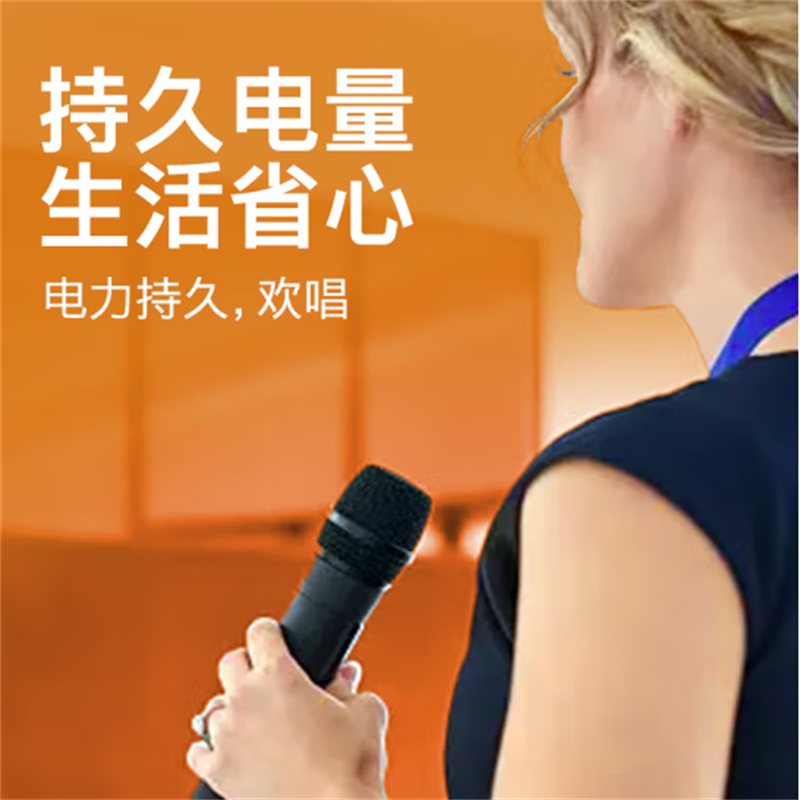 兆邦 9V电池1粒装 碱性电池九伏 适用于万用表/烟雾探测器/麦克风等高清大图