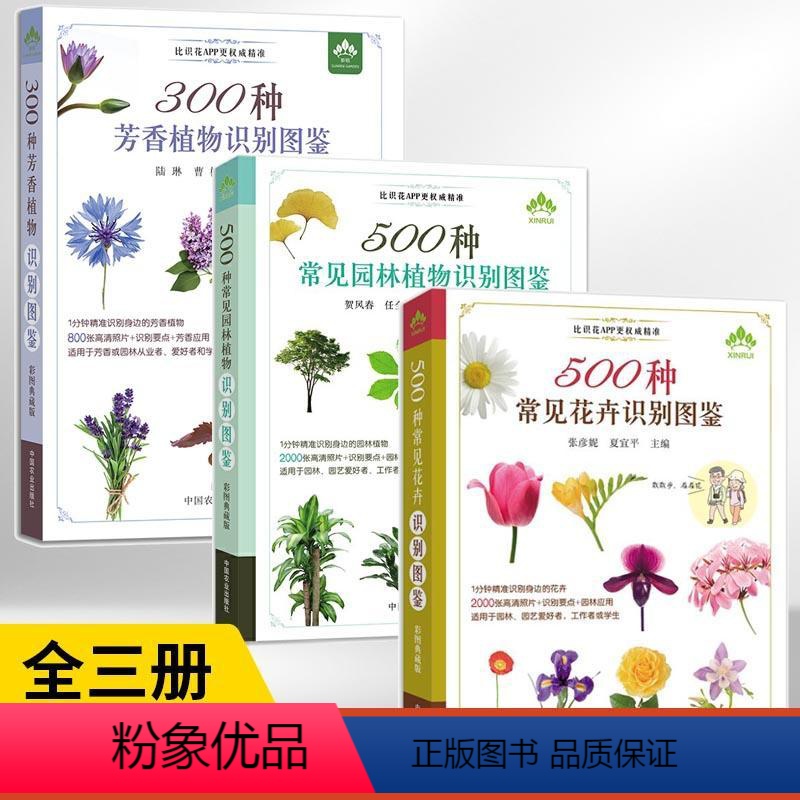 【正版】3册 500种常见花卉+500种常见园林植物+300种芳香植物识别图鉴 家庭种花养花鉴赏图鉴认识常见花草植物花