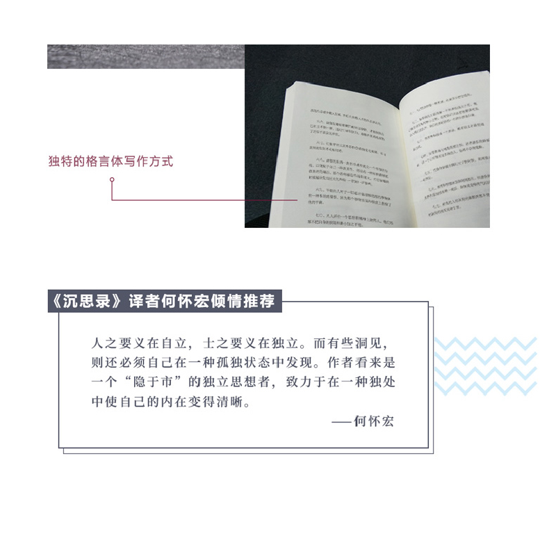 正版新书]单独中的洞见张方宇9787541148972高清大图