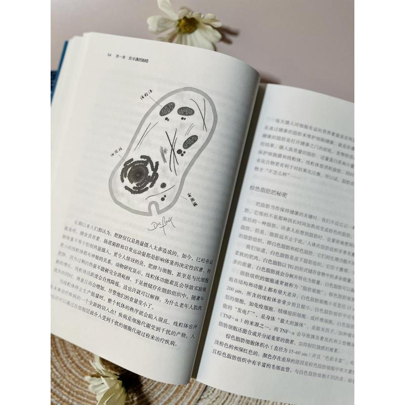 醉染图书的脂肪疗愈力9787571405高清大图