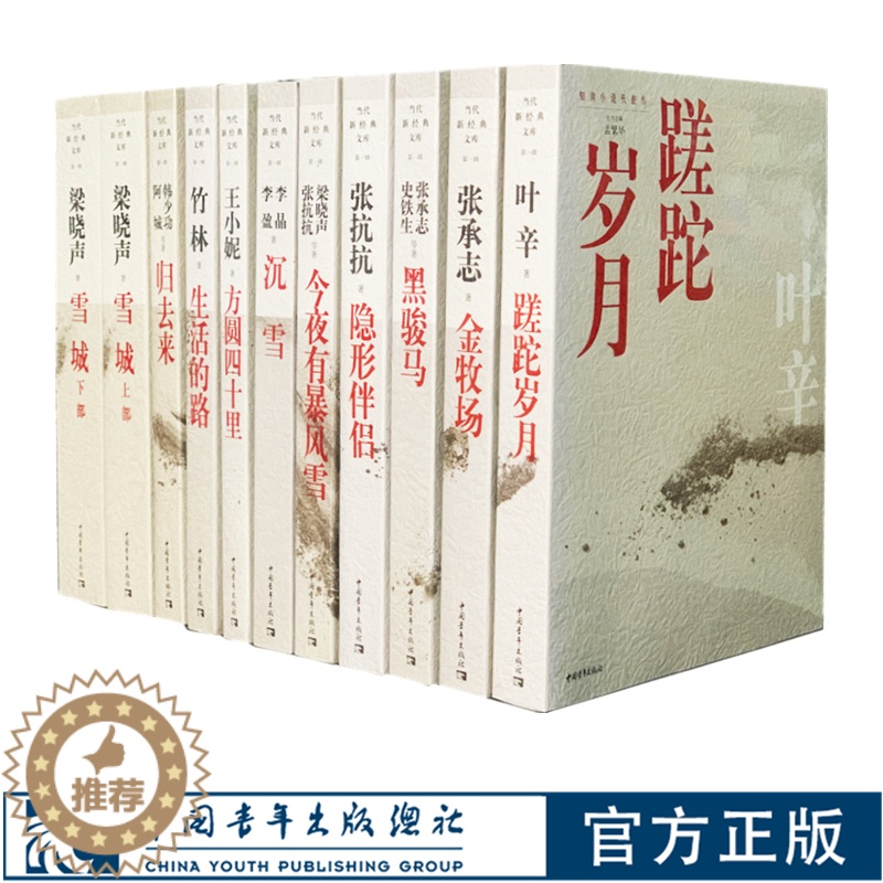 [醉染正版]知青小说系列10本 今夜有暴风雪 蹉跎岁月 归去来 黑骏马 生活的路 方圆四十里 雪城 隐形伴侣金牧场 中国高清大图