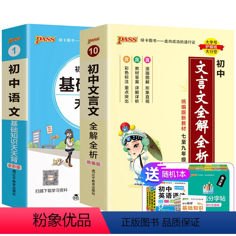 【套装】语文+文言文 初中通用 【正版】2023新版初中语文基础知识天天背国一八九年级知识点手册核心考试重点大全中考复习