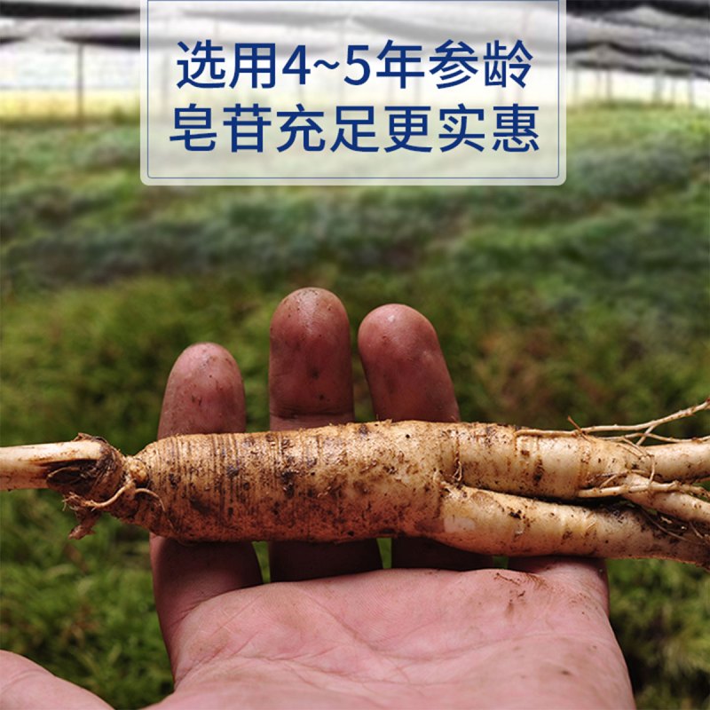 康富来西洋参250克/瓶 长白山花旗参切片 家庭分享装