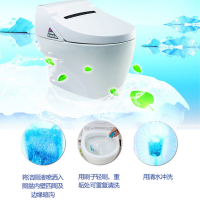 奇强洁厕液500g*2