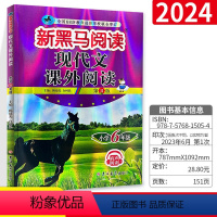 语文 小学六年级 [正版]2024六年级小学生语文现代文课外阅读每日一练新黑色马第十次修订 小学6年级上册下册课外拓展阅