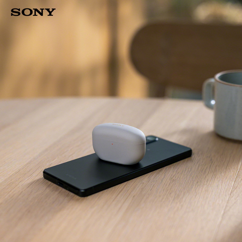 Sony/索尼 WF-1000XM5双芯降噪旗舰真无线耳机 黑色 降噪豆5 WF-1000XM4升级版高清大图