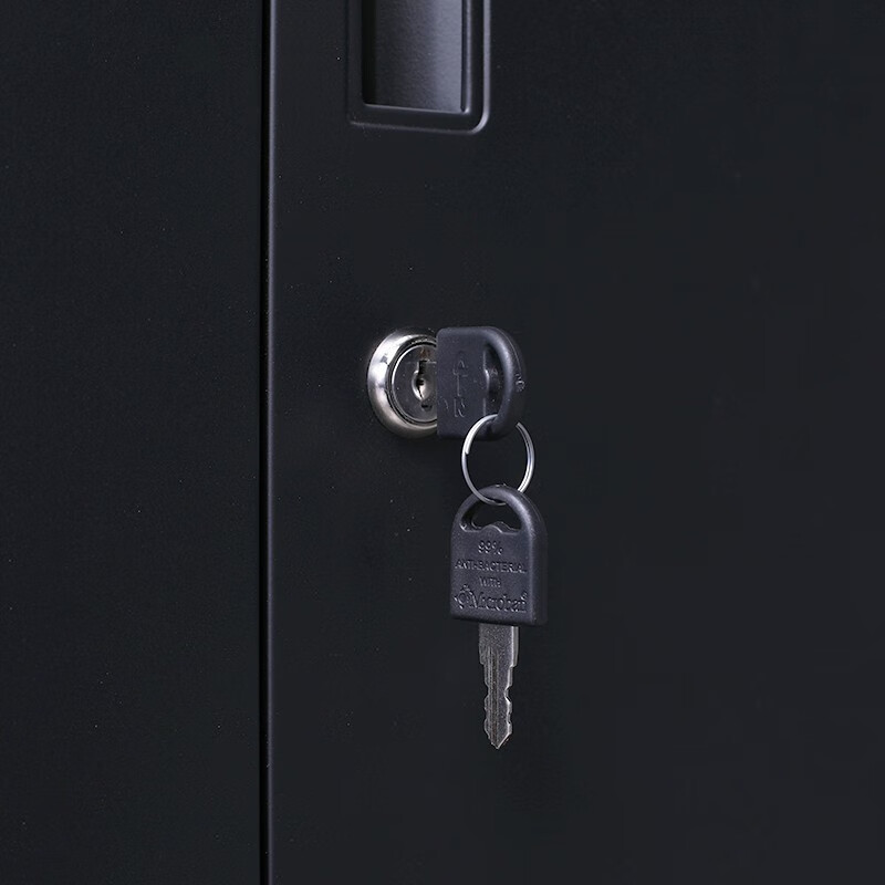 科野 文件柜铁皮柜办公柜黑色档案柜钢制柜书籍资料文档柜玻璃门柜子带锁矮柜 六门书柜(右)高清大图